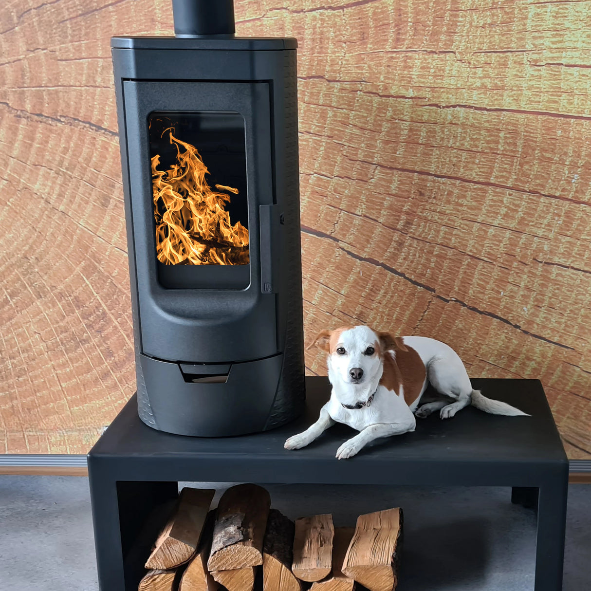 Designerski kominek żeliwny Plamen Tara – niezależny od powietrza w pomieszczeniu